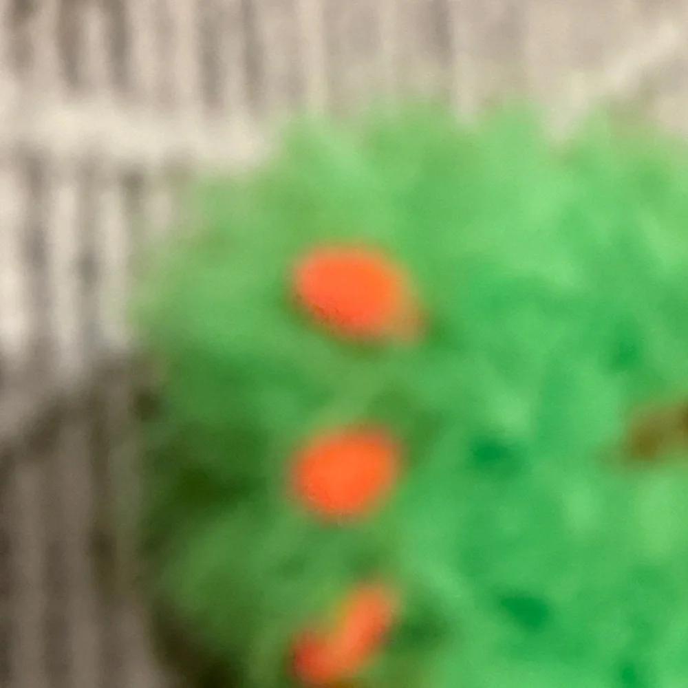 wonder nation Bright Green Fuzzy Slippers with Orange Accents